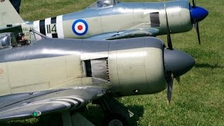 Two Giant 14 Scale Rc Hawker Seafurys Moki 250Cc - Mick & Trevor At Willis Warbirds Meet - 2014