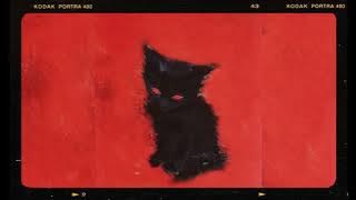 Saïf & Zamdane & Damso Type Beat - CHAT NOIR | prod. @indycorp