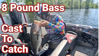 8 Pound Bass - Cast to Catch in the Pasquotank River BASS Elite