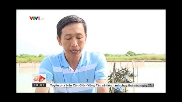 VTV1 - Loại hình cá rô kết hợp tôm sú ở Trà Vinh 23/12/2020