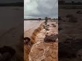 امطار الخير من ازويكا اقليم تزنيت المغرب
