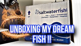 Unboxing my dream fish from SALTWATERFISH.COMM