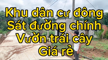 cần tiền xoay sở công việc nên anh nghĩa cần bán gấp lô đất vườn trái cây tại châu đức BRVT