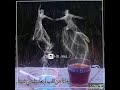 سيبهم يا قلبى سيبهم سيب الاوهام تاخدهم غالى حبك يا قلبى والغالي مش نصيبهم سيبهم يا قلبى سيبهم سيب الاوهام تاخدهم غالى حبك يا قلبى والغالي مش نصيبهم