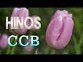 Hinos CCB🍀Coleção Das Canções Mais Surpreendentes das mais Belas Melodias