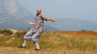 Shaolin 18 Hands of Luohan - Luohan Shi Ba Shi - 少林罗汉十八式