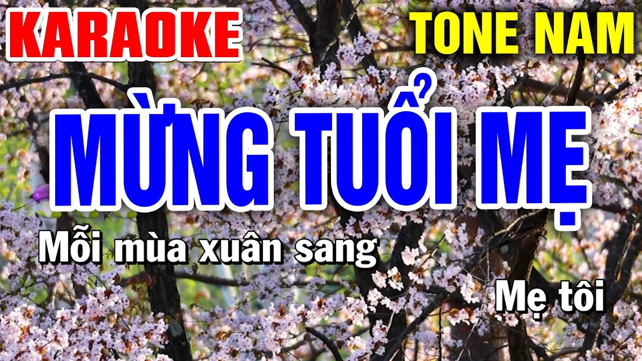MỪNG TUỔI MẸ Karaoke Tone Nam | Tình Trần Karaoke