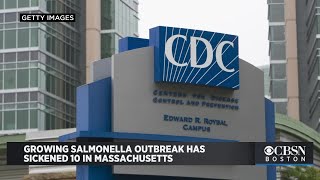 Growing Salmonella Outbreak Has Sickened 10 In Massachusetts; CDC Names Possible Food Sources