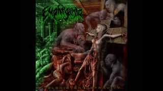 NSE RECORDS - EUPHEGENIA