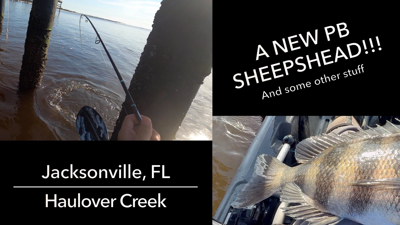 Catching the Biggest SHEEPSHEAD I've Ever Caught (Jacksonville, FL)