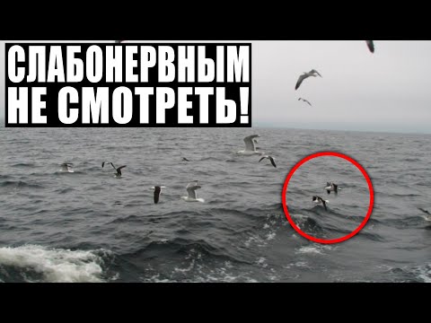 СТРАШНЫЕ КАДРЫ ПОТРЯСЛИ ВЕСЬ МИР!!! УЧЕНЫЕ В Ш*КЕ ОТ ПРОИСХОДЯЩЕГО! 20.07.2021 ДОКУМЕНТАЛЬНЫЙ ФИЛЬМ