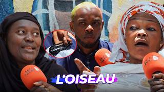 Festival international de lutte sénégalaise à Paris: Badou sylla révèle sur le combat Gris vs Siteu