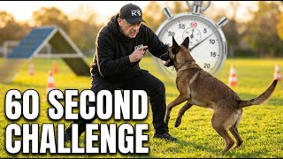 This Malinois Just Aced 10 Commands In 60 Seconds
