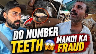 Do Number Teeth 😱 Mandi Ka Fraud Exposed | Karachi Maweshi Mandi Vlog