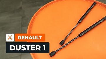 Hoe de gasveren van de achterklep te vervangen van de RENAULT DUSTER 1 [AUTODOC-HANDLEIDING]
