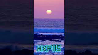 HXF115 music