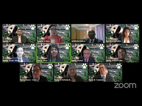 International Online Mediation
