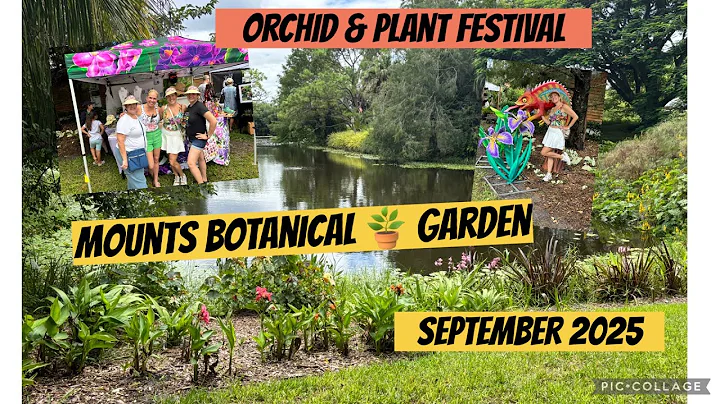 Orchid & Plant Festival @ Mounts Botanical Gardens/shopping for orchids! Sept. 2025 thumbnail