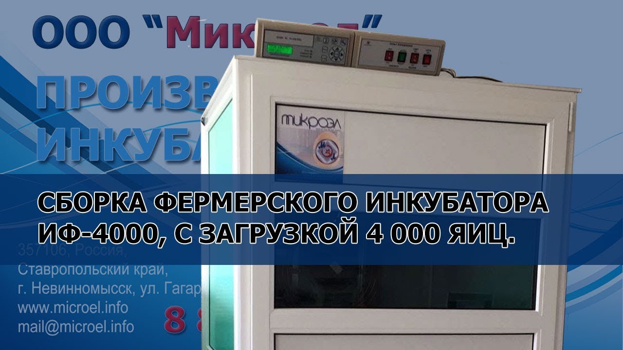 Купить Инкубатор В Ставрополе Магазины Цены Купить Инкубатор В Ставрополе Магазины Цены