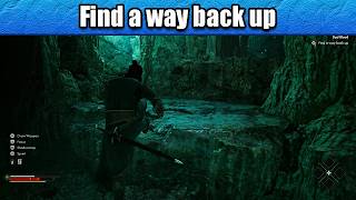 Find a way back up - Bad Blood | The Blood of the Dawnwalker