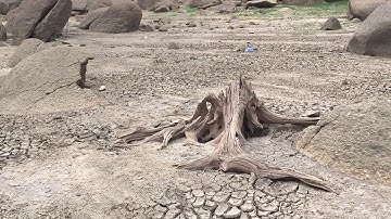 Nhật ký Câu Cá Hồ Đồng Xanh-Đồng Nghệ