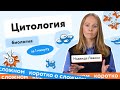 Цитология | ЕГЭ по биологии | #shorts