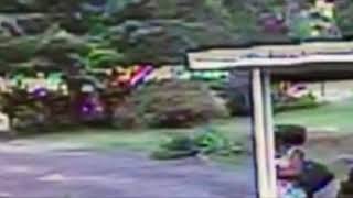 Gregg County Sheriffs Office Needs Help Identifying Suspect