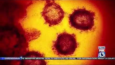 What Do "Social Distancing" and "Flattening the Curve" Mean?