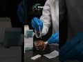 Aflatoxin B1 Rapid Test Kit for Nut Safety Testing - ScignoHub #scignohub #foodsafetytesting