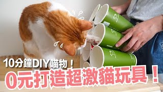 0元打造超激貓玩具只要10分鐘蛋捲超愛【好味喵物】EP3