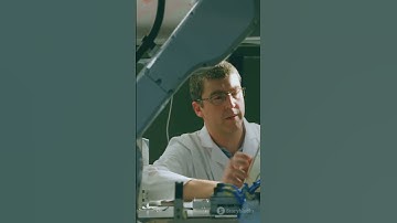 Meet the Pipe-Crawling Robots Revolution 🛠️🤖