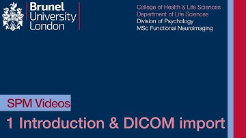 SPM Tutorial 01 -  Study Summary and Getting Started