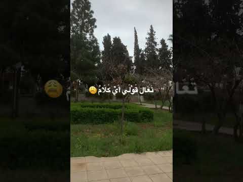 حالات واتس وانستغرام يسرا محنوش    بفكر فيك يسرا