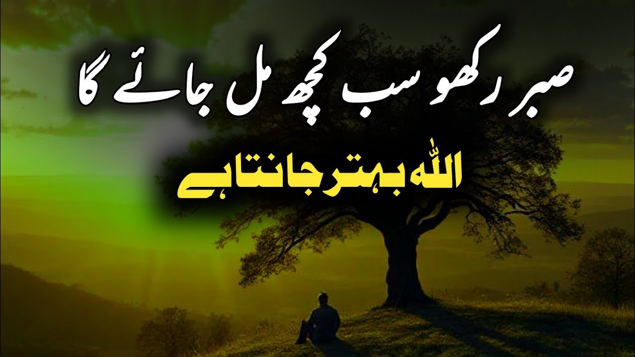 Sabar rakhne se sab Kuch mil jata hai ? Hazrat ali quotes| 1 Hamza studio 
