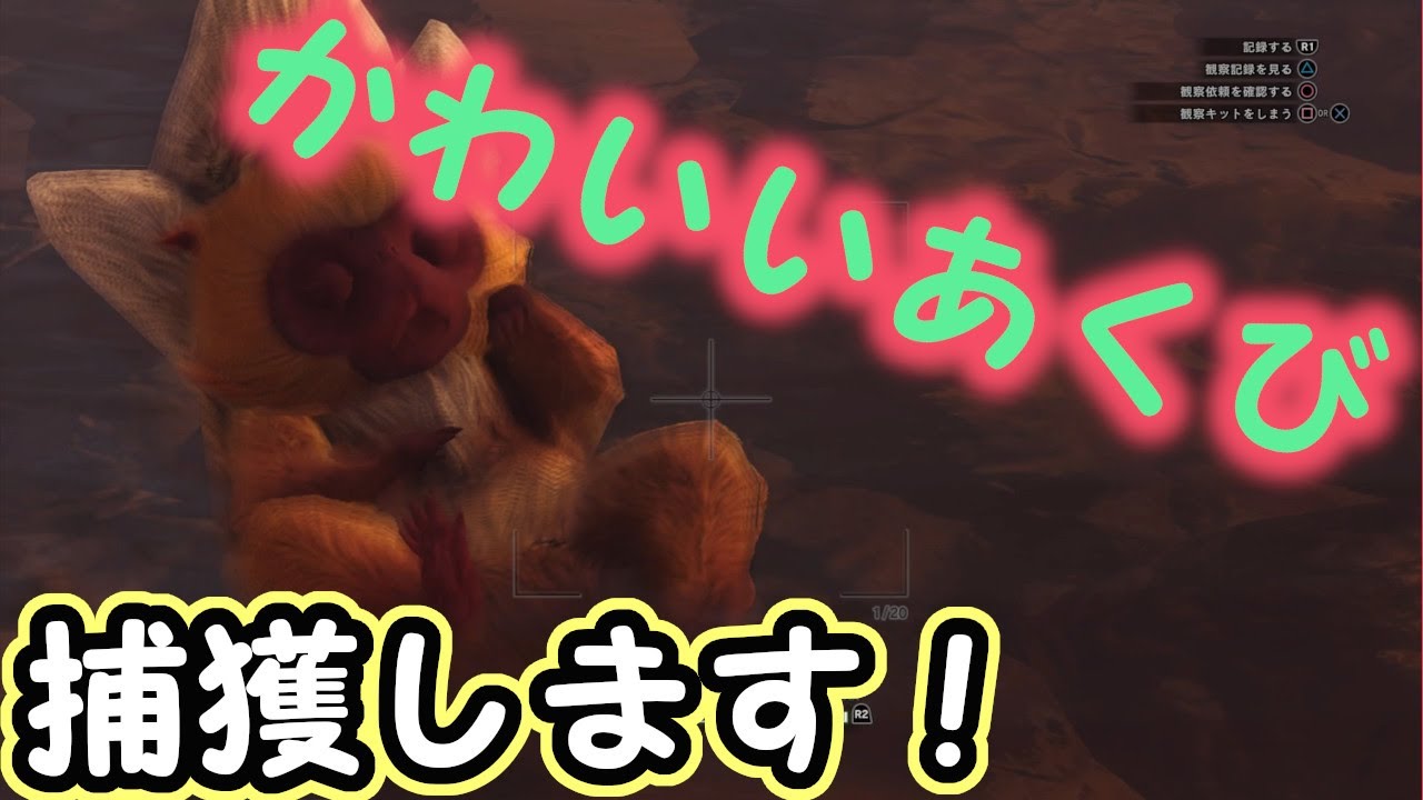 キンセンザルの捕獲 謎の生物の捕獲 について解説 Youtube