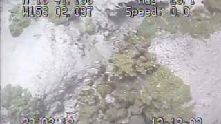 a803hw_tape2o_12dec03.mp4