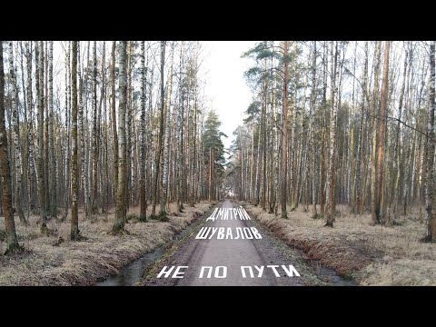 Дмитрий Шувалов - Искрами