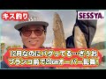 【キス釣り】12月なのにバグってる…ざうおブランコ前で20cmオーバー乱舞‼