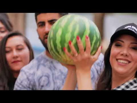 Alla Levonyan -