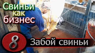 ЗАБОЙ СВИНЬИ ЗАБОЙ СВИНЬИ