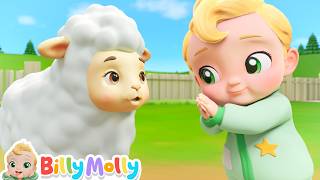 Mary Had a Little Lamb, Five Little Ducks | Animal in Shool | Billy Molly - Nursery Rhymes