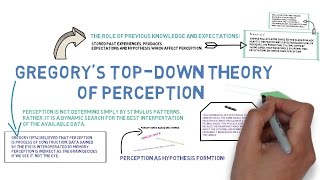 Celebrity Gregory's Top-Down Theory Explained Profile
