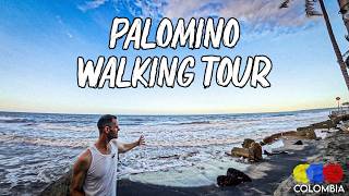 Palomino Travel Guide & Walking Tour