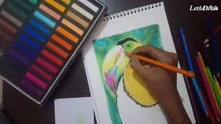 Bird drawing with soft pastel and pencil colour / Drawing of colourful bird screenshot 1