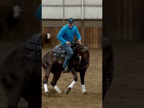 Hustle the horse out of the turn onto the straight line