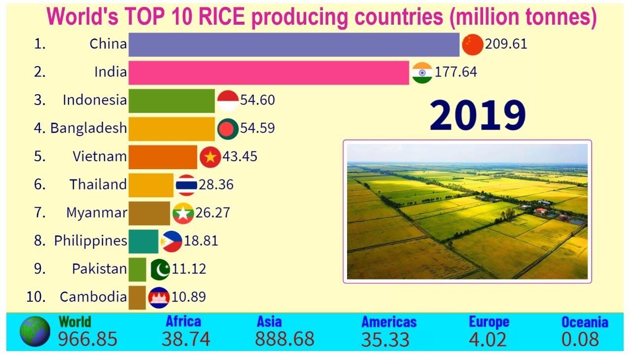 3 страны рис. Top 10 Tobacco cultivation Countries rates 2022 года. Top sales in 5 Countries 1980-2020. Countries 1980. Global Rice Production of Countries.