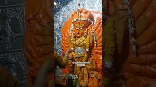 हल्दी माताराणी कि 🙏saptashrungi mata parbhani 🙏#viral #trending #video #saptashrungimata #shorts