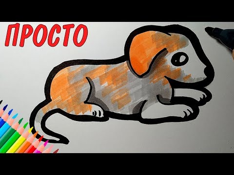 Как нарисовать СОБАКУ,