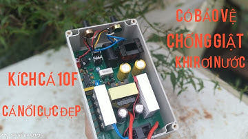 Kích cá 10f có bảo vệ chống giật đánh cá nổi đẹp ll điện tử Lê phi