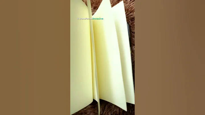 Ecofriendly Vegan Leather Journal with Card Holders and Pen Strap  #sustainable #smallbusiness